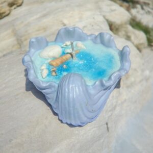 Fraîcheur Bleu Coquillage