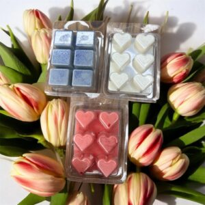 Les Fondants en Mouvement