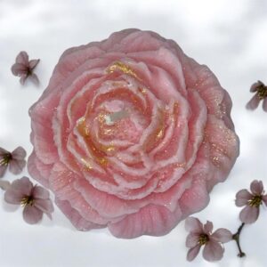 Rose de pivoine